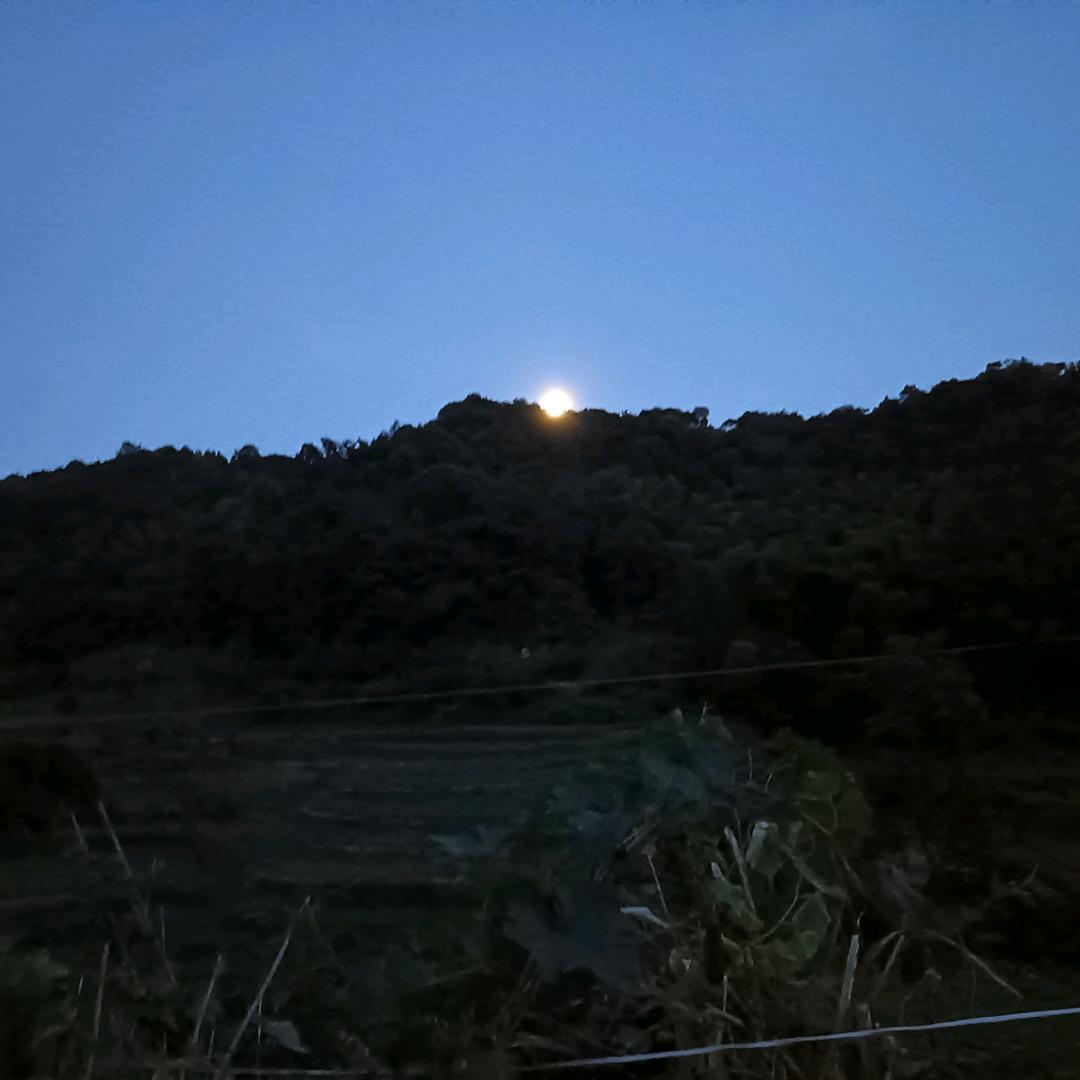 峰先生