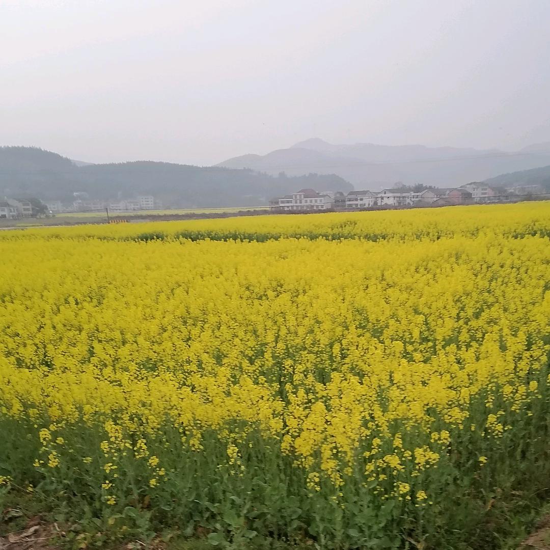 湘湘