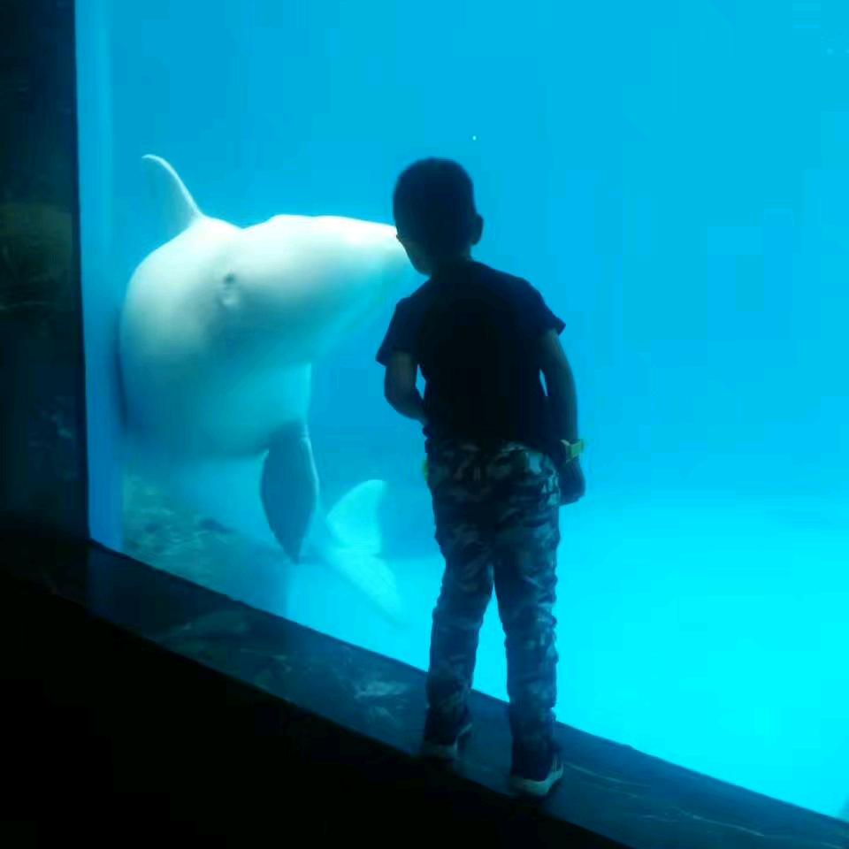 敏