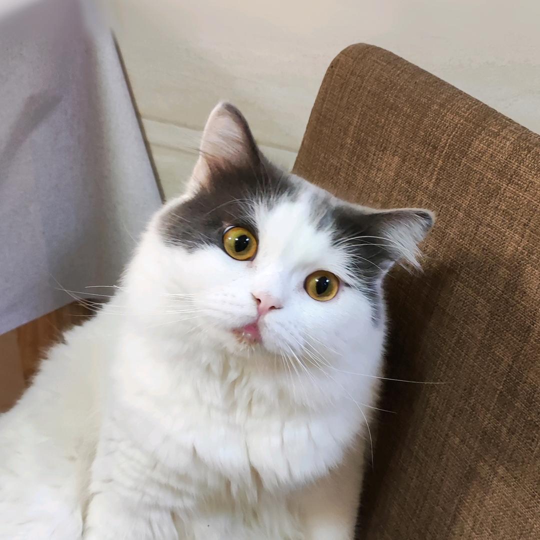 鹏鹏☆