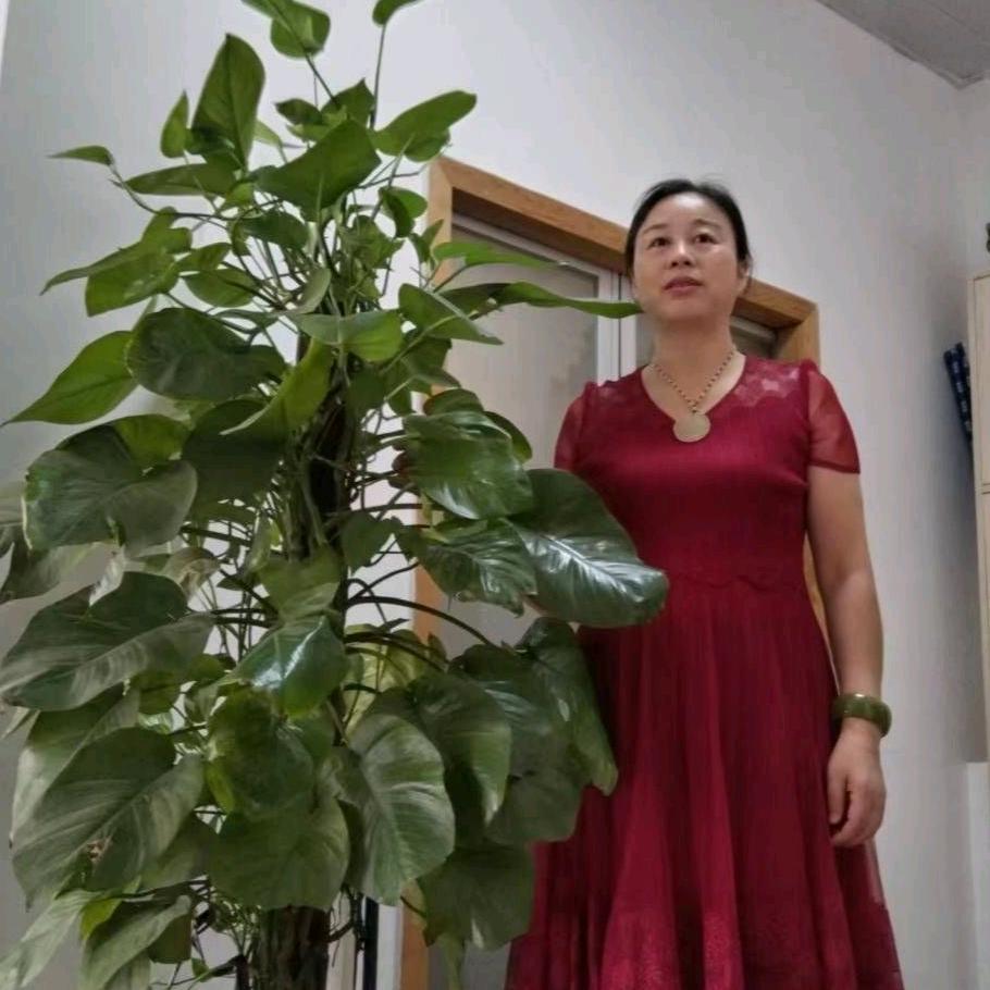 生活咨询