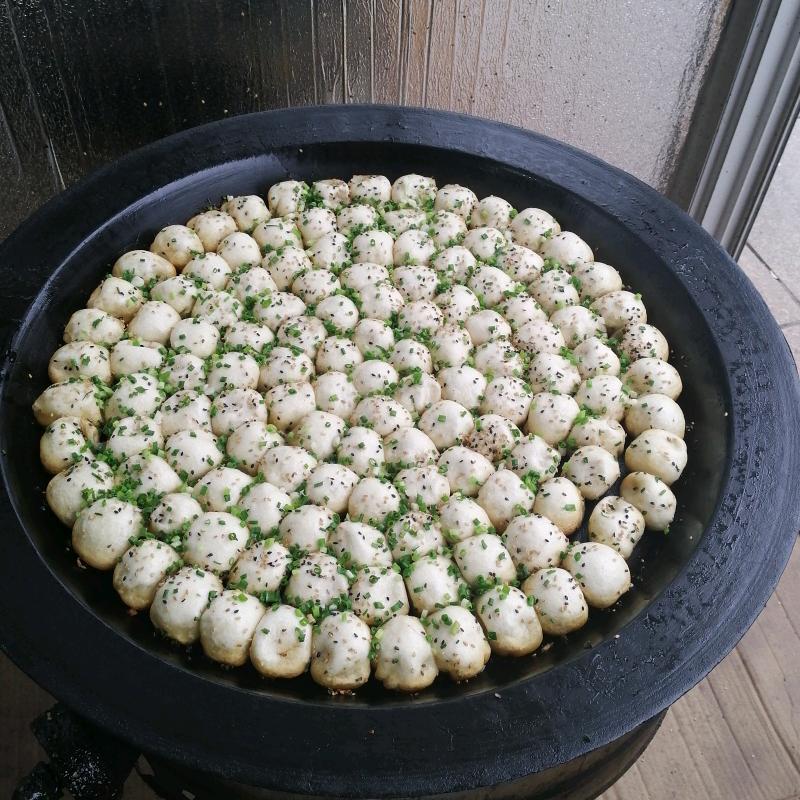 老上海煎包