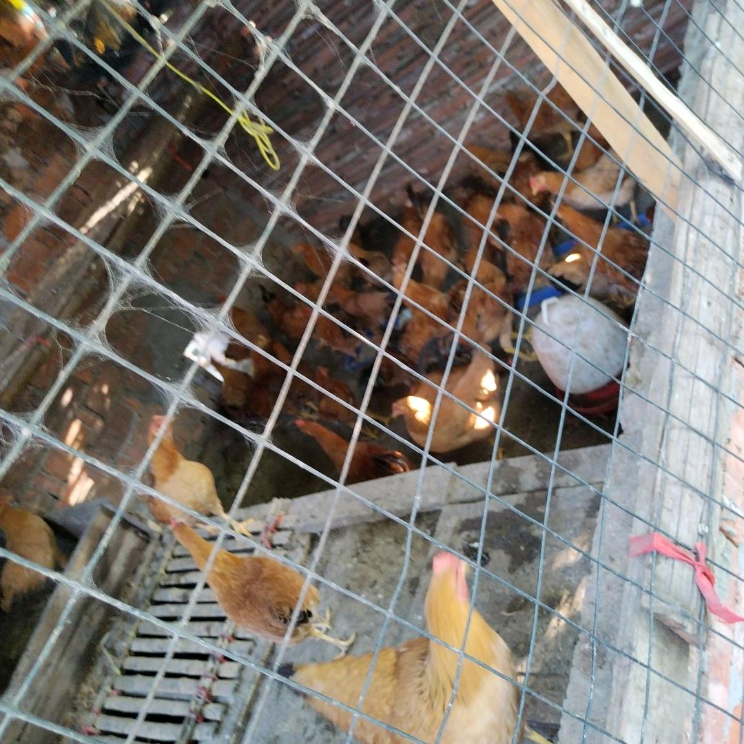 萧肖环保通风工程