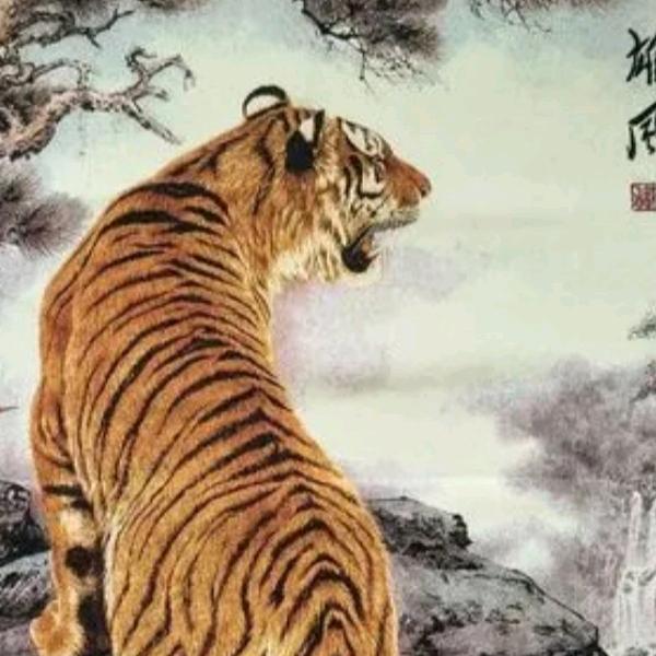 考公考编一以贯之