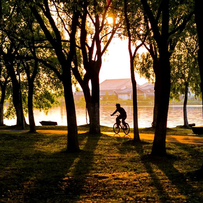 人间芳菲四月天