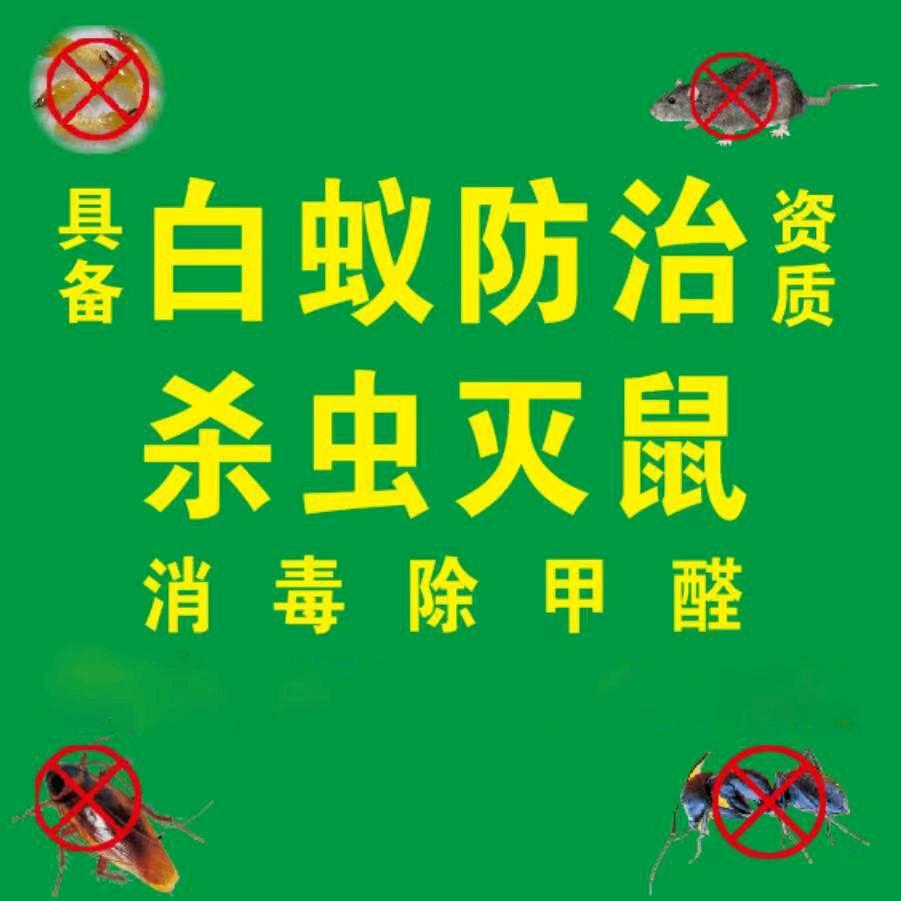 福州白蚁防治杀虫灭鼠
