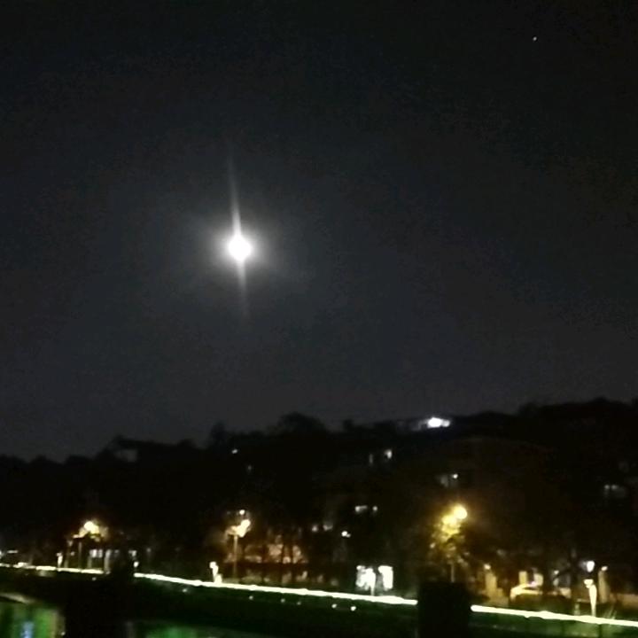 血翼刺