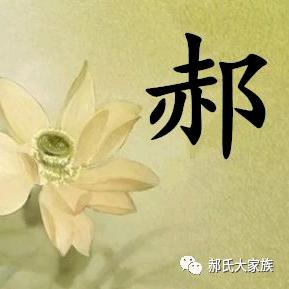 红猫
