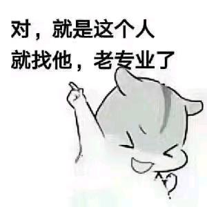 随风飘雪平。。