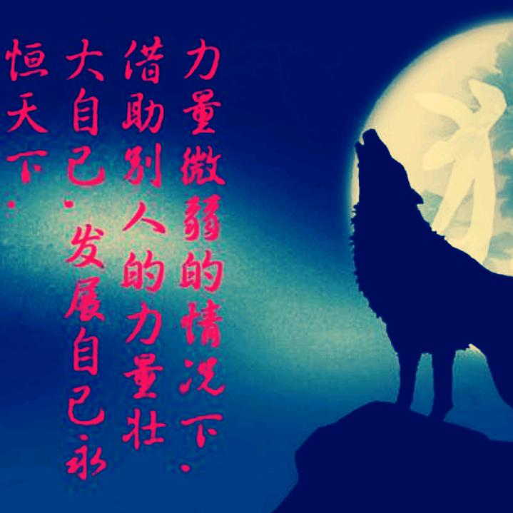 暗夜孤狼
