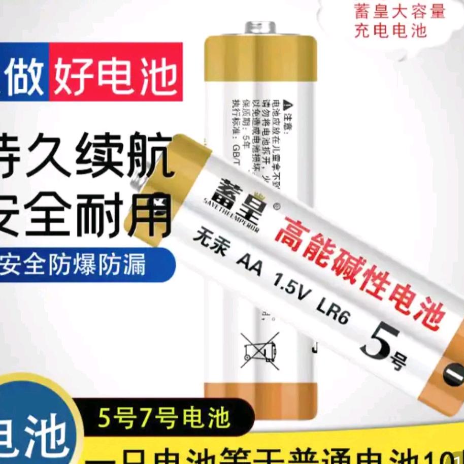 蓄皇电池优品
