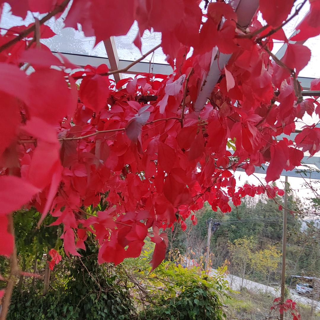 不忘初心
