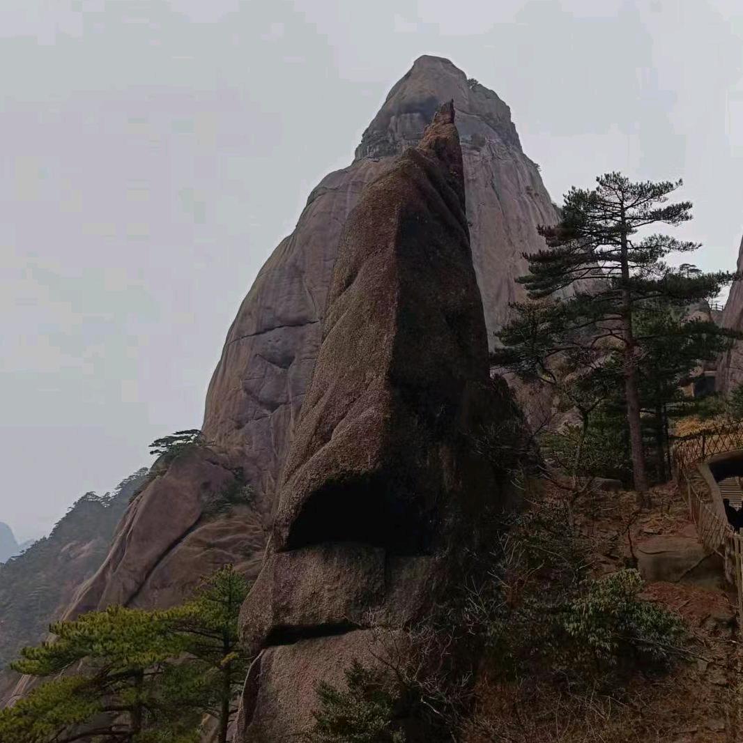 共度风雨