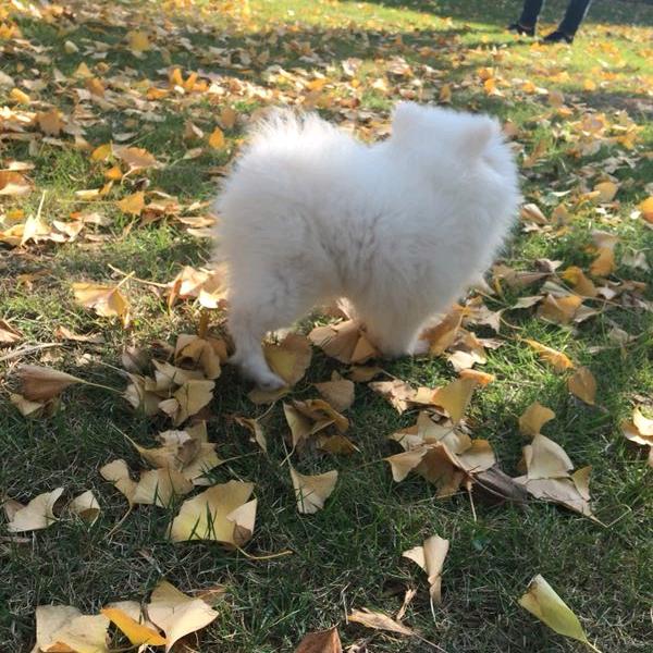 无人扶我青云志
