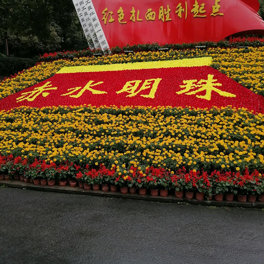 羅师梦想