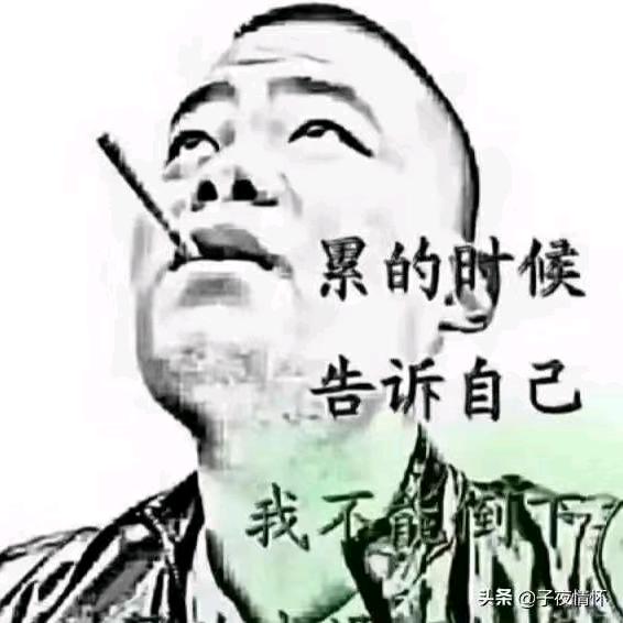 兔 公 子