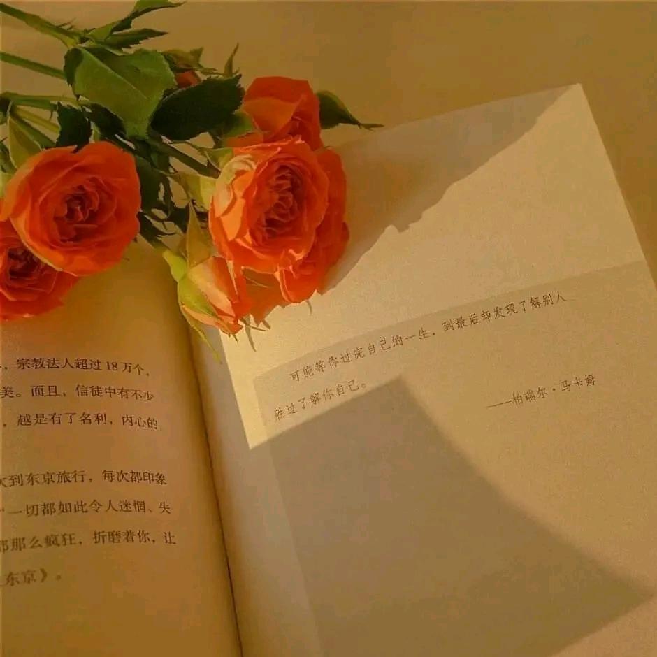 xiaojing
