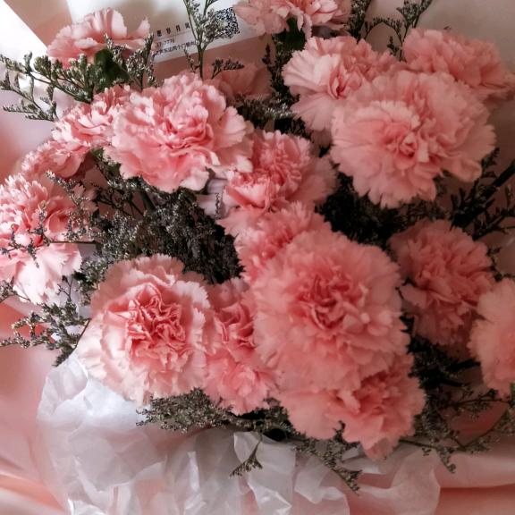 明霞大樱桃31313