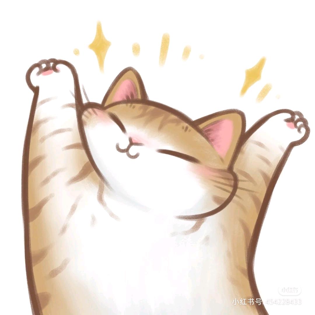 社会性晚安选手