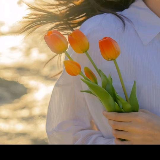 笑笑🌻