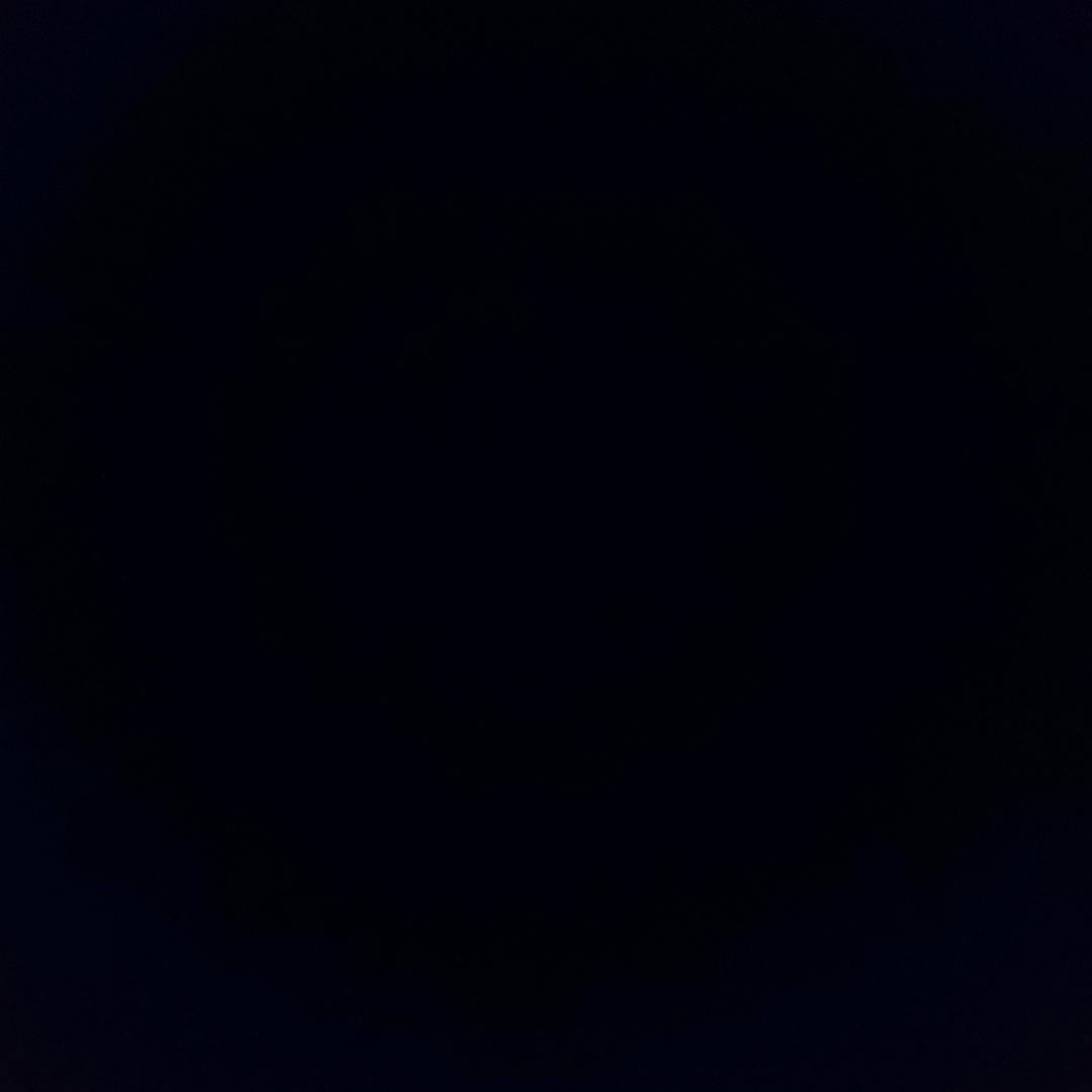 偷的浮生半日闲