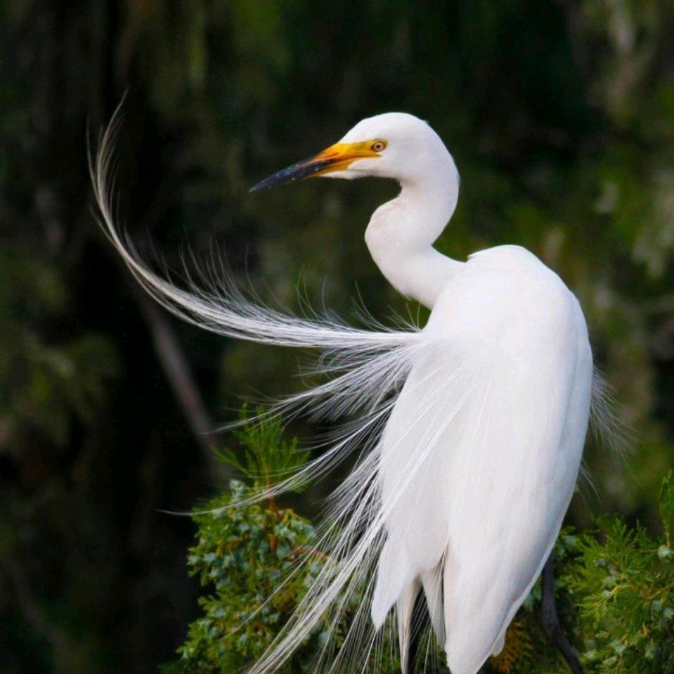 江苏清眸网络科技有限公司