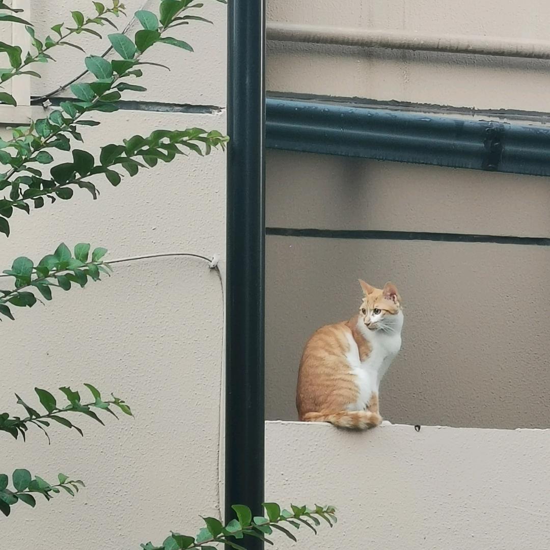 咕嘟咕嘟煮熟啦