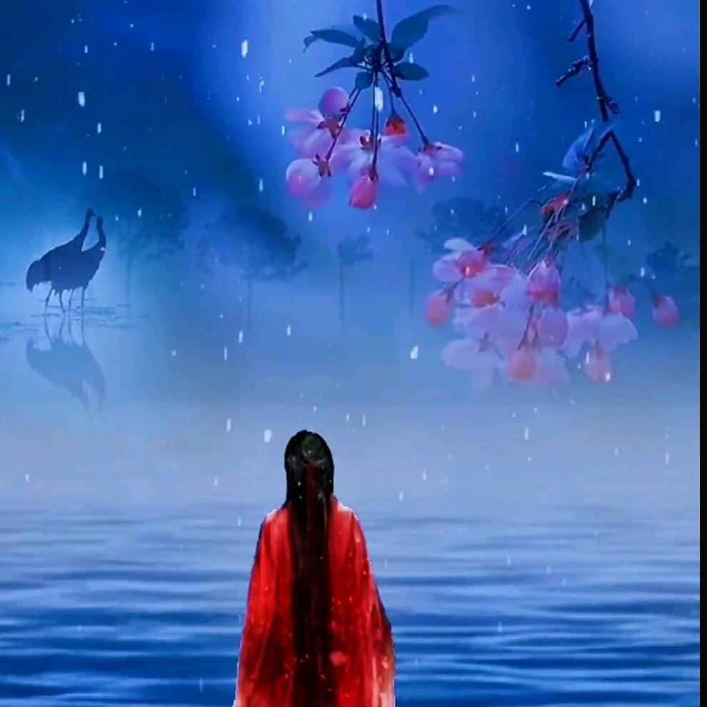 像风一样🌺🌺🌺