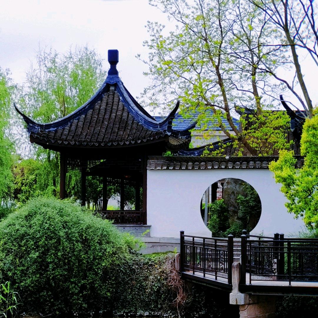 念念不忘