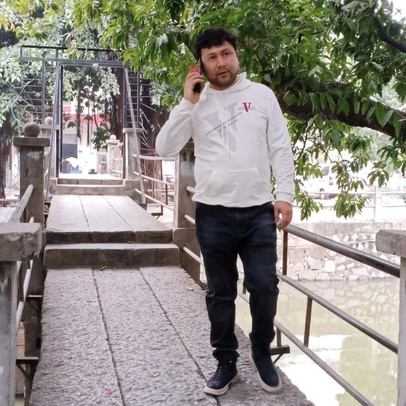 新疆代办各种肥牛