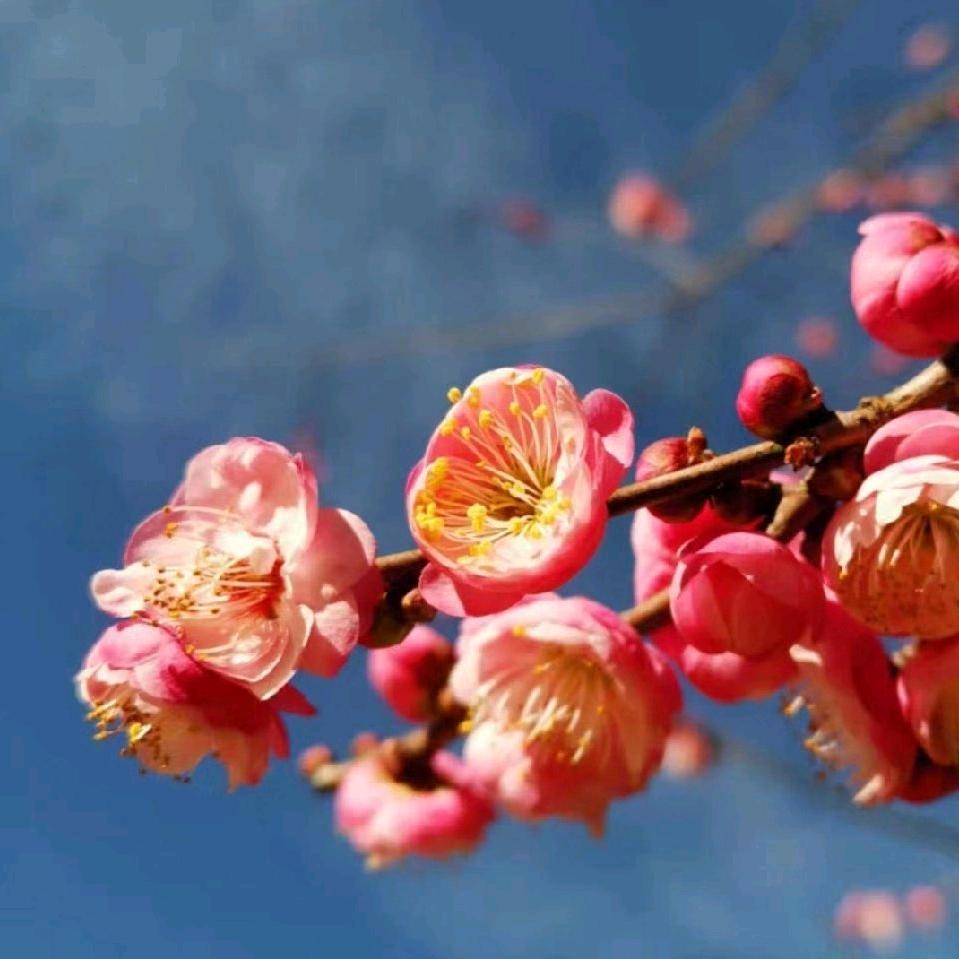 追梦