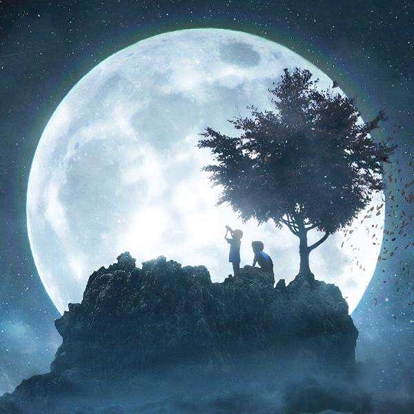 勿问来路（王牌）