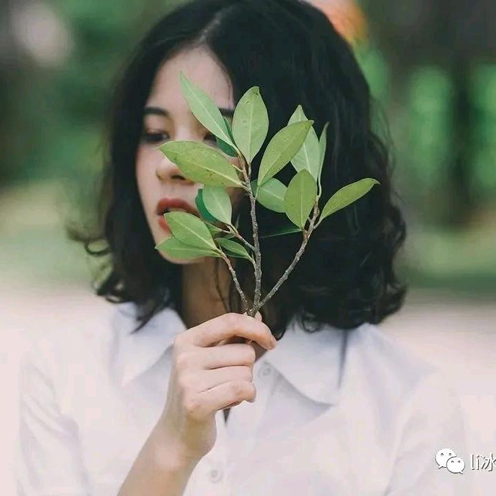 🌲li冰儿/的花园