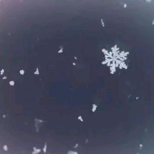 飘了片雪