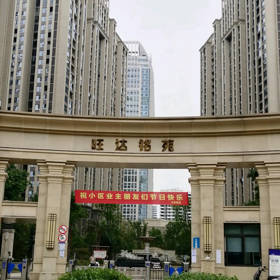 石姐.