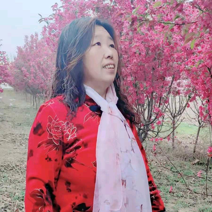 阳光