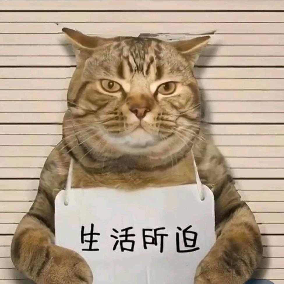 断水流大师兄