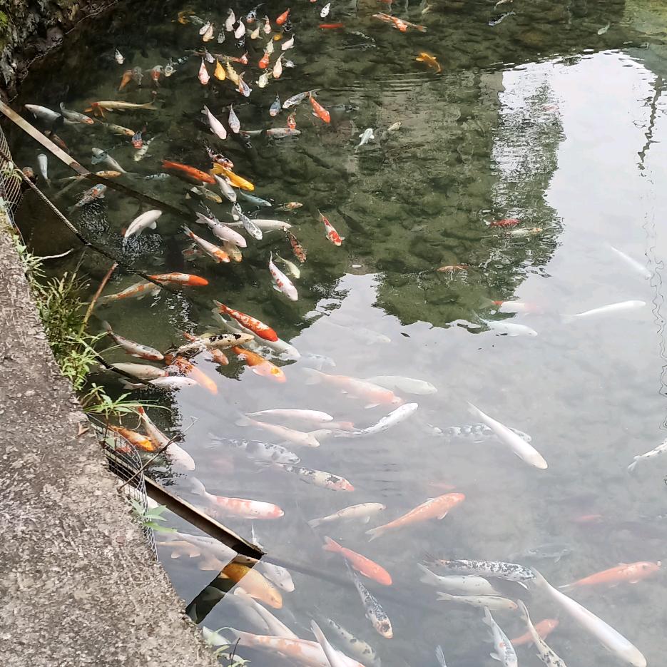 李凤群