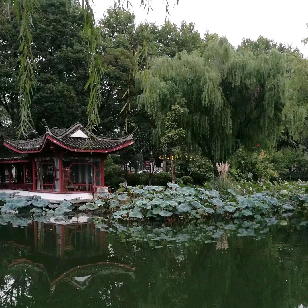 何塘月色