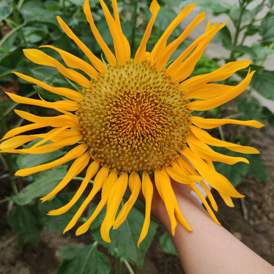 春夏秋冬，冷暖自知