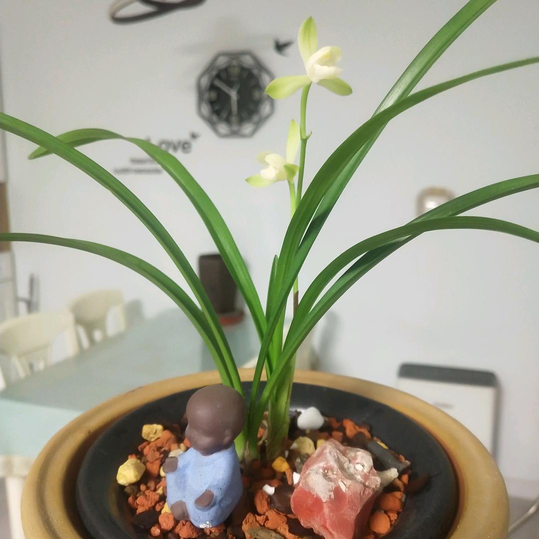一缕青烟
