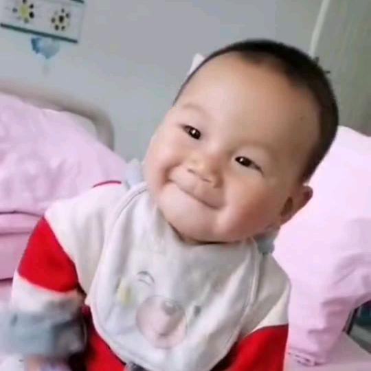 毛 毛 虫