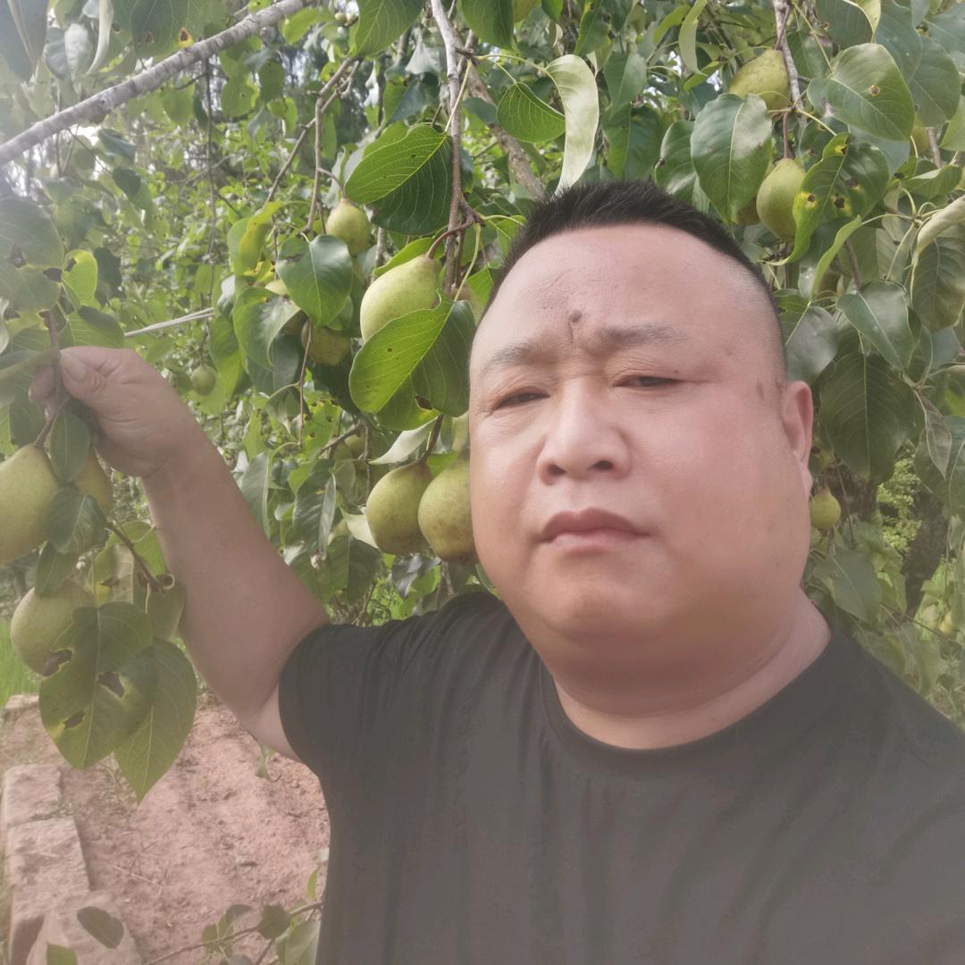 绝张杠上花（好物推荐）