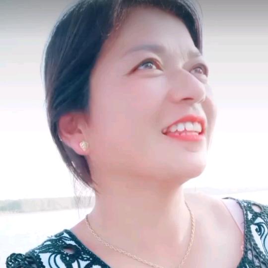 弘林816