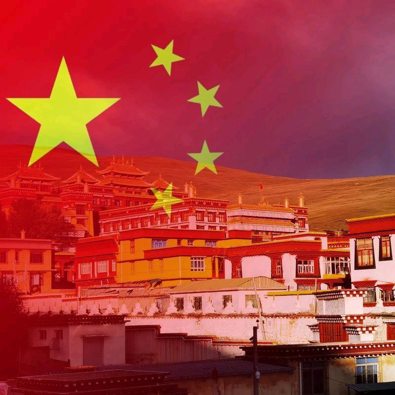 🦅泽辉