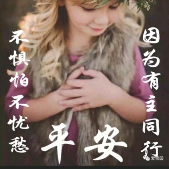🌸金金🌸