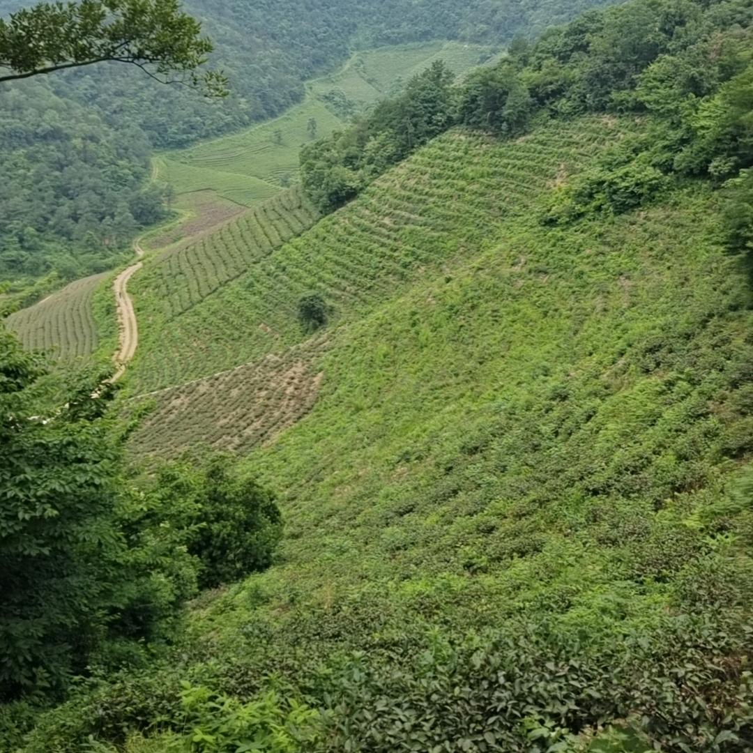 壹柒玖