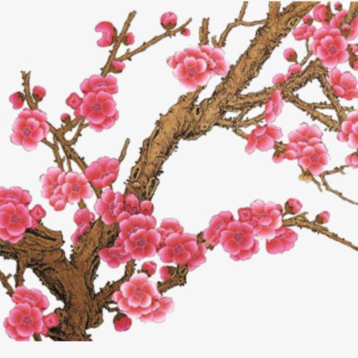 梅花独自开