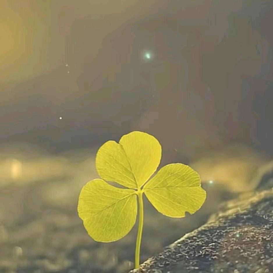 巷子口酣水锅锅