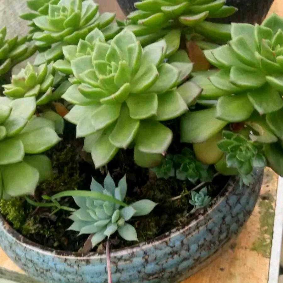 用户2039173445659天天开心勇